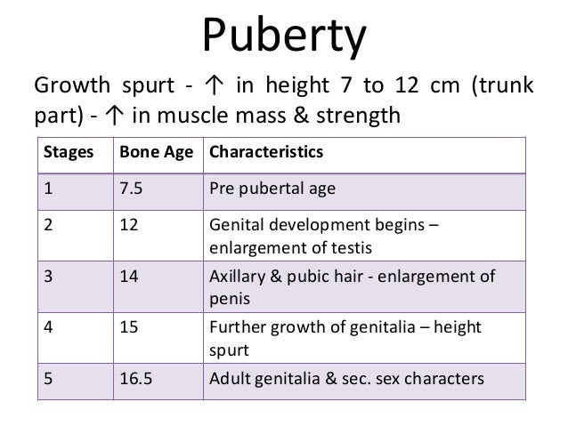 penis growth spurts Pleather lingerie pants